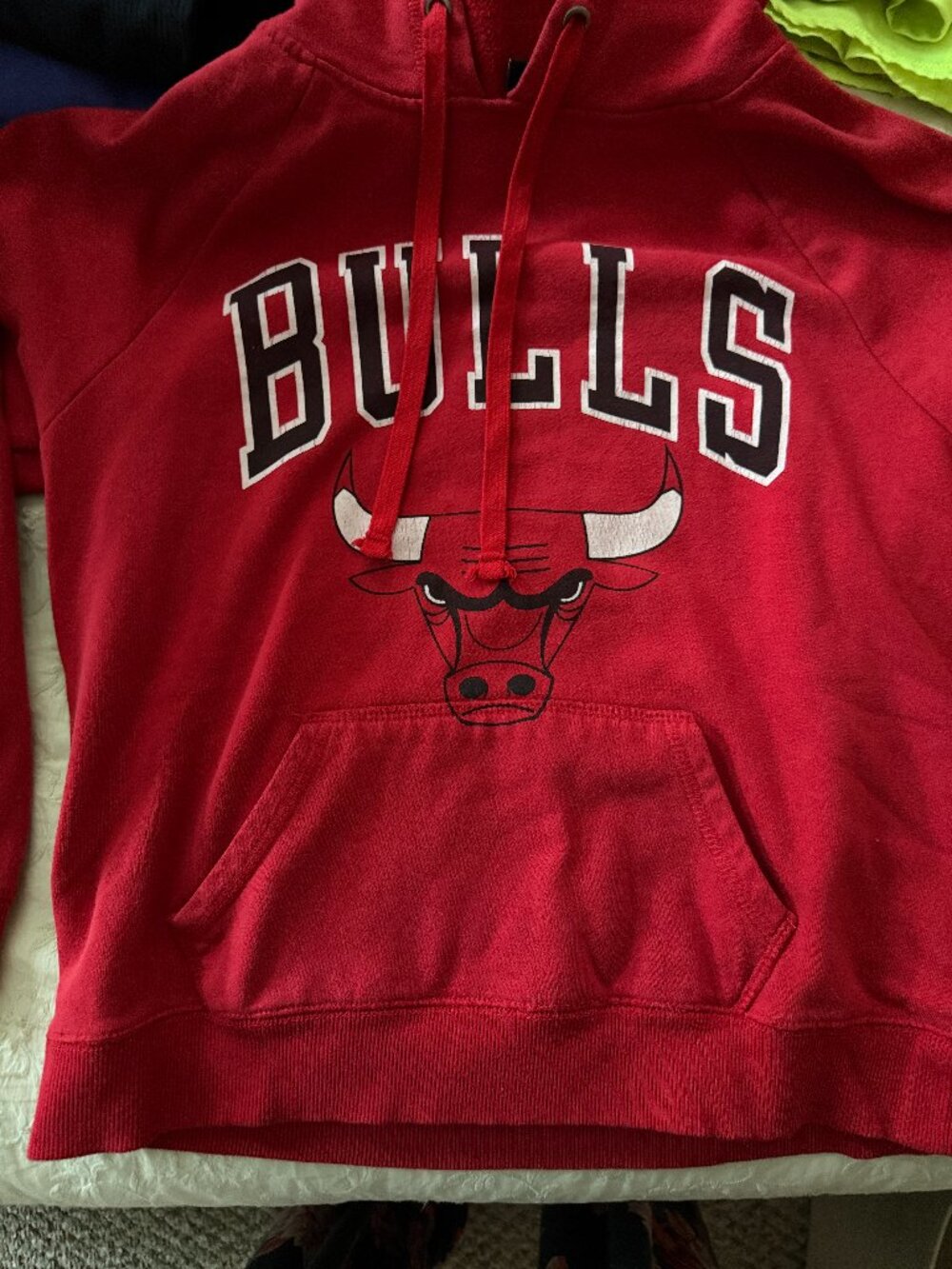 Vintage Bull's Hoodie